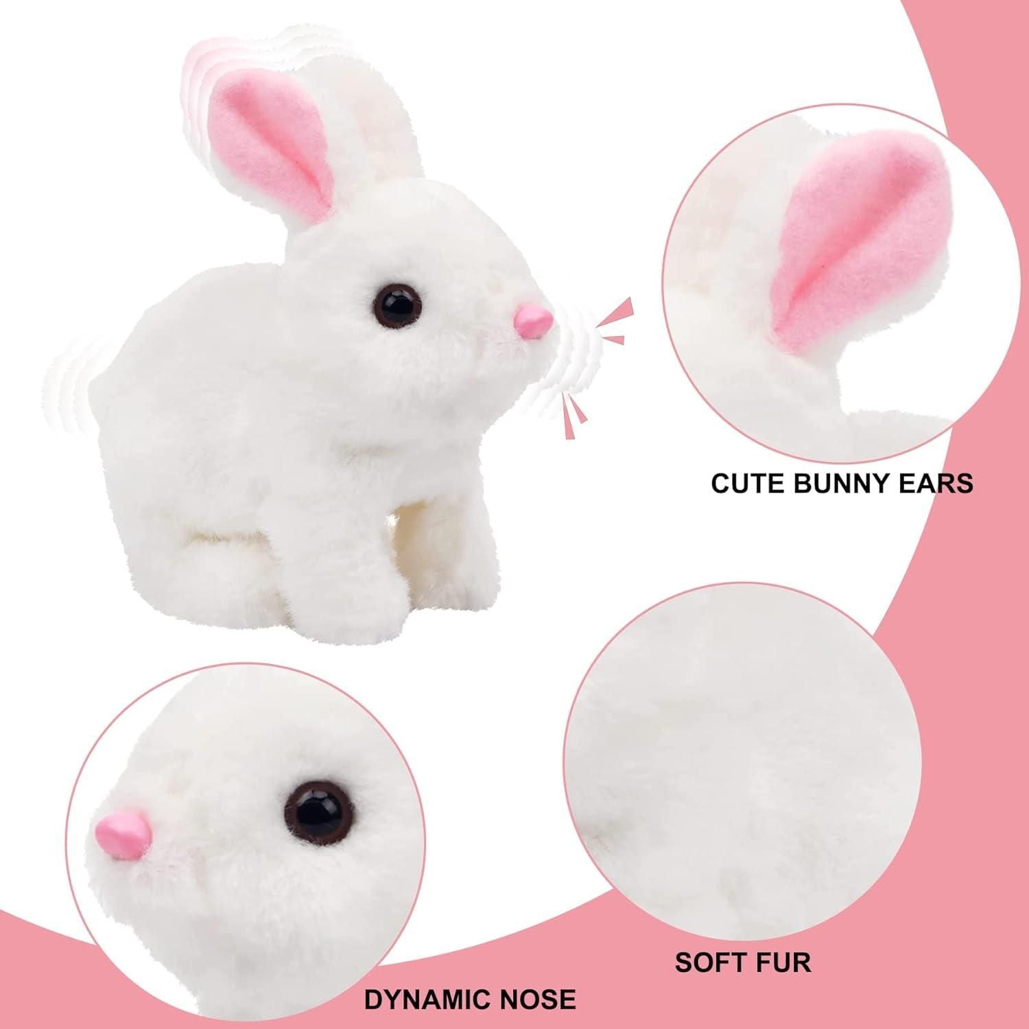Hopping Bunny Toy