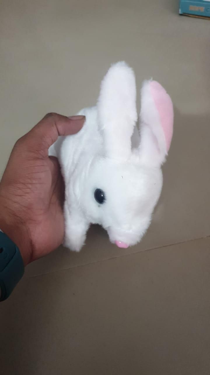 Hopping Bunny Toy