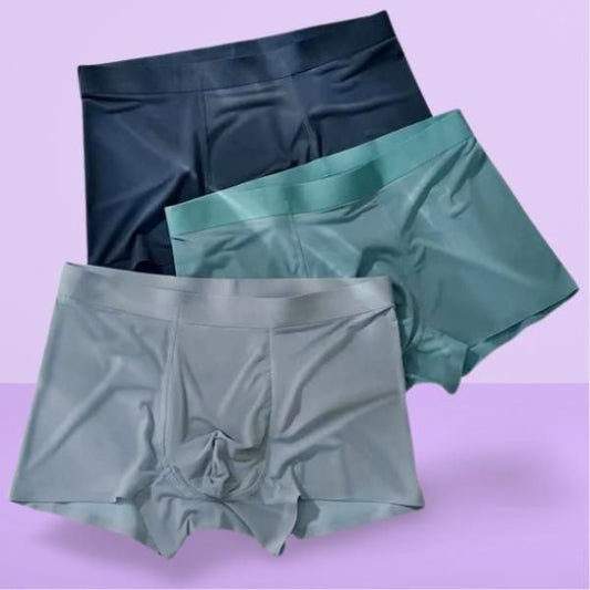 Men's Ice Silk Briefs Boxers