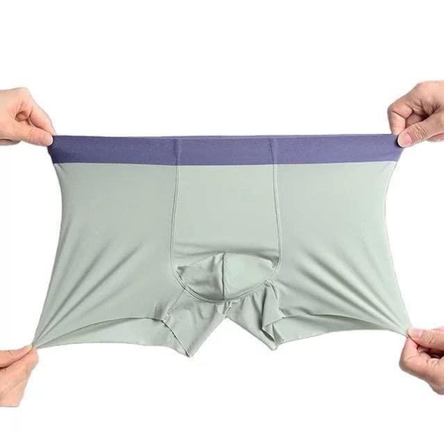 Men's Ice Silk Briefs Boxers