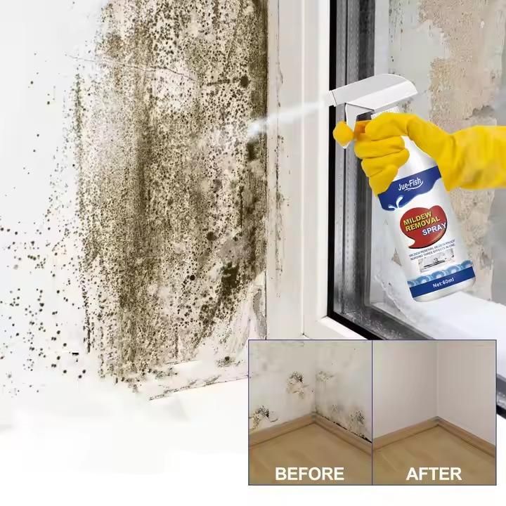 Multipurpose Mold Remover
