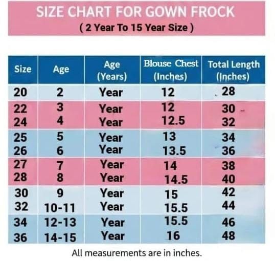 Ritu kalamkari Anarkali Dress